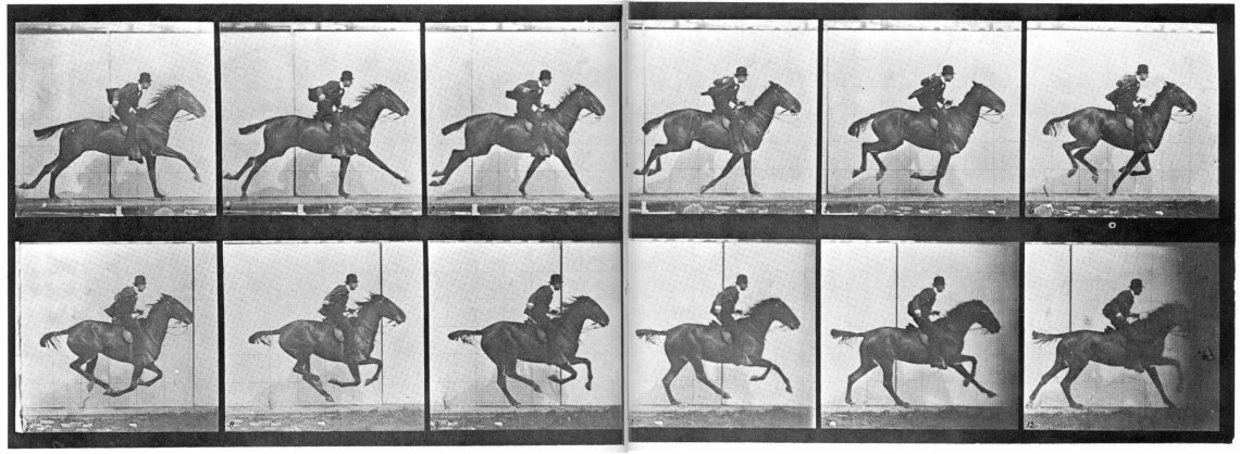 Muybridge_horse_gallop