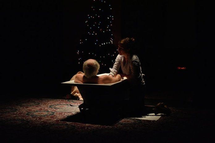 chiens-de-navarre-tout-le-monde-ne-peut-pas-etre-orphelin-2-photo-philippe-lebruman