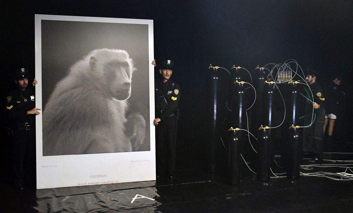 feb40b96-ef28-4755-bb5c-9e86825e5620_alta-libre-aspect-ratio_default_0